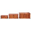 vidaXL Coffres de rangement 3 pcs Bois d'acacia solide