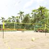 vidaXL Filet de volley-ball jaune et noir 823x244 cm PE tissu