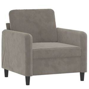 vidaXL Fauteuil Gris clair 60 cm Velours