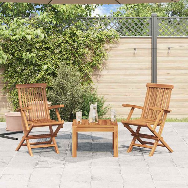 vidaXL Chaises pliables de jardin lot de 2 Bois de teck solide