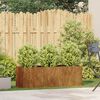 vidaXL Jardini&egrave;re rouill&eacute; 120x40x40 cm acier inoxydable