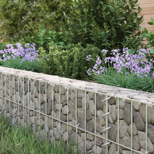 vidaXL Lit surélevé à gabion Acier galvanisé 300x100x20 cm