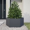 vidaXL Jardini&egrave;re anthracite hexagone 104x90x45 cm acier