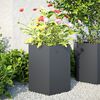 vidaXL Jardini&egrave;res 2 pcs anthracite hexagone 46x40x45 cm acier