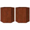 vidaXL Jardini&egrave;res 2 pcs hexagone 46x40x45 cm acier patinable