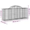 vidaXL Paniers &agrave; gabions arqu&eacute;s 20 pcs 200x50x80/100 cm Fer galvanis&eacute;