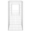 vidaXL Poteaux &agrave; panier de gabion 2 pcs 50x50x100 cm Fer