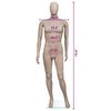 vidaXL Mannequin de vitrine Homme Tête ronde