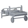 vidaXL Chaise longue de jardin Gris Bois d'acacia solide