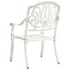 vidaXL Chaises de jardin lot de 2 Aluminium coulé Blanc
