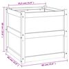 vidaXL Jardinière d'extérieur 60x60x60 cm bois de pin imprégné