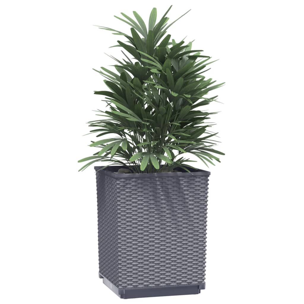 vidaXL Jardinières 2 pcs gris foncé 30x30x37 cm polypropylène