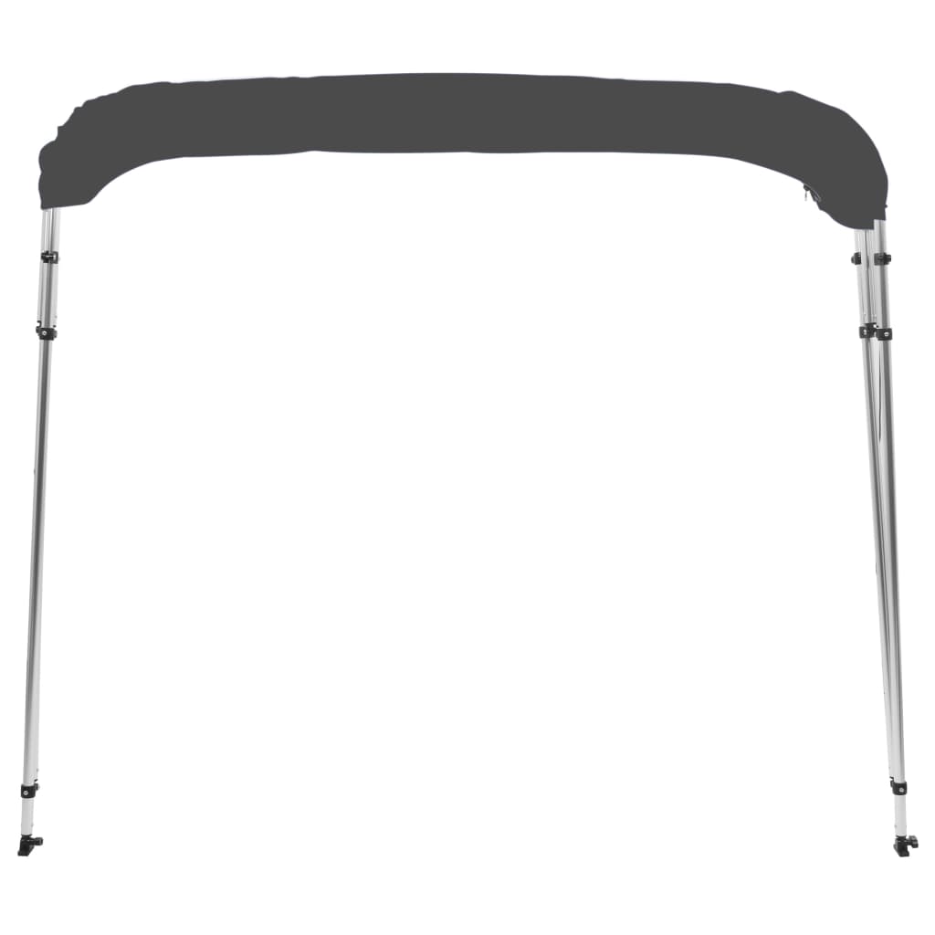 vidaXL Auvent bimini à 4 arceaux Anthracite 243x196x137 cm