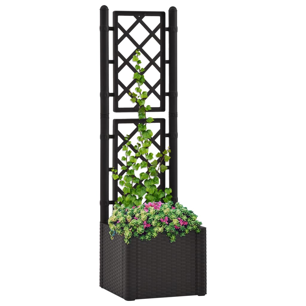 vidaXL Lit surélevé de jardin treillis système d'arrosage Anthracite